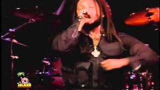 Stephen Marley feat Damian Marley  The Traffic Jam Live [upl. by Esaele]