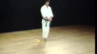 Bassai DaiHirokazu KanazawaKata Shotokan SKIF [upl. by Sherri]