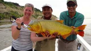 Golden Dorado Fishing  Lower Parana River  March 2016 [upl. by Assirahc]