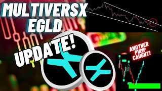 MultiversX EGLD Crypto Coin Update [upl. by Skinner]