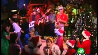 George Thorogood amp The Destroyers Rock And Roll Christmas 2nafish [upl. by Hilliary]