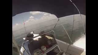 Boat Cruising at Alafia River Gibsonton Florida [upl. by Epp]