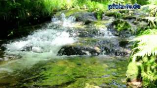 Rauschendes Wasser  Flüsse Bäche und Wasserfälle im Schwarzwald  Nikon D 90 Movie [upl. by Yrollam]