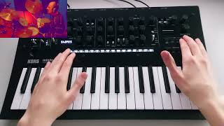 Funky Minilogue XD Live Looping to Drums by Max Sansalone dimsunk [upl. by Inohtna]