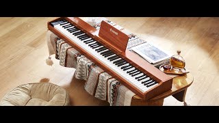 Donner DEP1S Digital Piano Wooden Style [upl. by Willabella154]