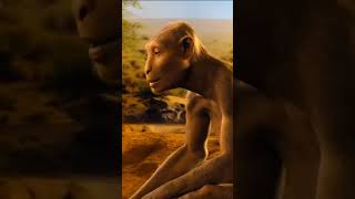 Australopithecus Afarensis [upl. by Laehcar]