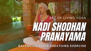 Nadhi Shodhana Pranayama  Art of Living Yoga  Sri Sri Yoga [upl. by Novonod]