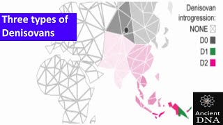 Three types of Denisovans [upl. by Haney]