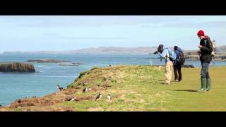 Staffa Tours [upl. by Frayda]