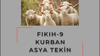 FIKIH9 🐂 Kurban dikab dhbt mbsts [upl. by Aytac896]