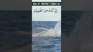 DUA TO SOLVE HARDSHIP BY PROPHET YUNUS islamic dua shorts youtube [upl. by Llewoh]