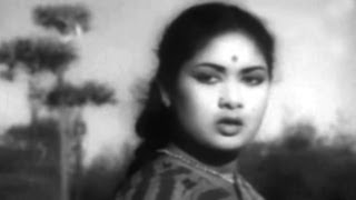 Nammina Bantu Songs  Pogarumotu Potlagittara  Akkineni Nageswara Rao Savitri [upl. by Stephine]