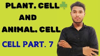 Plant cell and Animal cell   different bitveen Plant cell and Animal cell  BIOLOGY ZONE [upl. by Young]