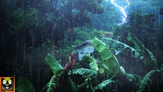 Rainforest Ambience Rain Sounds Jungle Animals and Thunder in the Distance  Relaxing Sleep Sounds [upl. by Everick708]