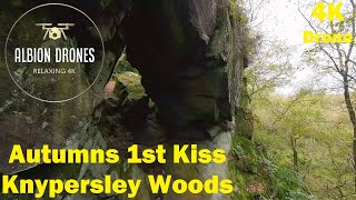 Autumns first kiss Knypersley Woods  DJI AVATA 4K video 60fps [upl. by Voleta]