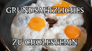 Übersicht Cholesterin Was bedeuten die Cholesterinwerte LDL amp HDL Und wie Cholesterin senken [upl. by Ahseniuq]