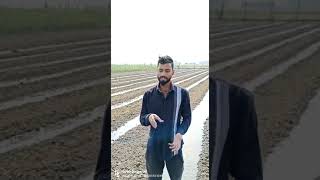 what is furrow irrigation method Barsaat me khet ke pani ka निकास कैसे करे। [upl. by Atinaw]