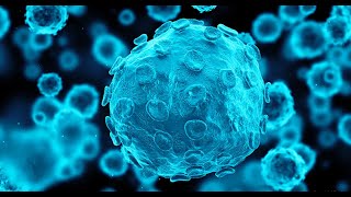 Unveiling Respiratory Pathogens Insights from the Multiplex PCR FilmArray™ Respiratory Panel [upl. by Wolram]