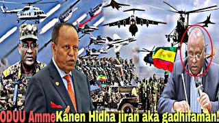 ODUU Hatattama Dhabani Qama Naga Ethiopia🇪🇹 Kanen hidha jiran aka gadhifaman akekan9 November 2024 [upl. by Nwatna545]