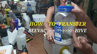 HOW TO Transfer Bees from your BEEVAC Bottle into the hive [upl. by Adnylg]