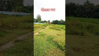 গায়ের সবুজে ঘেরা পথ। Village road villagevlog naturelovers greenroad roadtrip [upl. by Fredrick232]