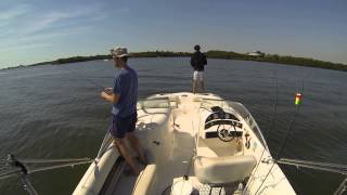 Cape Coral Fishing  Catching Trout amp Flounder  4 fish in 8min GoPro Hero 3 on board [upl. by Malvie]