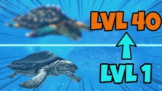 Jurassic world game Max Level Upgrade Dinosaur  Protostega [upl. by Casia219]