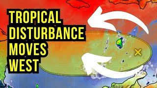 Tropical Disturbance Fights Dry Air [upl. by Hartwell]