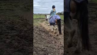 ￼ ￼ bareback on buddy with ￼ crocs horse equestrain horseing horsecommunity equestrianrider [upl. by Zena604]