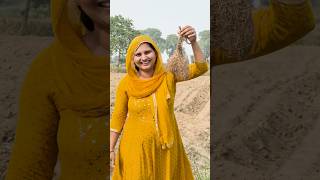 Aaj kaafi dino baad khet me gai shortvideo dailyvlogs minivlog shorts [upl. by Azerila]