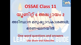 OSSAE Class 11 Unit 6 Chapters 2 ONE WORD QUESTIONS AND ANSWERS  A GUIDE FOR MCQ EXAM [upl. by Enoitna]