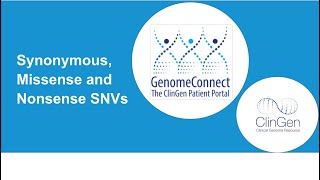 Types of Sequence Variants  Missense Nonsense and Synonymous Variants [upl. by Carr925]