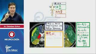 NEUROLOGÍA Esquemas de repaso Qx Medic 2023 [upl. by Brosine]