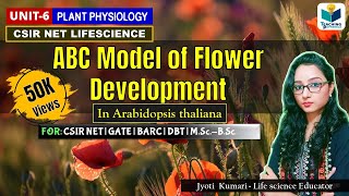 ABC Model of Flower Development in Arabidopsis  CSIRNET  GATE  Plant biology [upl. by Joktan]