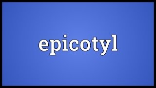 Epicotyl Meaning [upl. by Daenis]