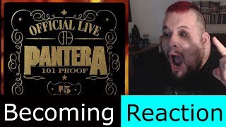 Pantera  Becoming Reaction [upl. by Risley]