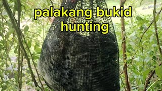 pamimingwit ng palakang bukid frog hunting [upl. by Fendig801]