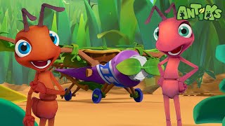 Ants ready to depart 🔴NEW EPISODE🔴 Funny Cartoons  Funny Videos for kids  ANTIKS 🐜🌿 [upl. by Phillips]