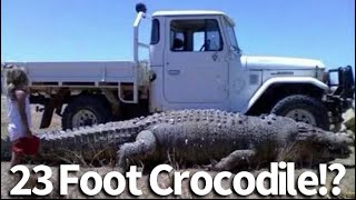 Largest Crocodiles In The World [upl. by Zarger80]