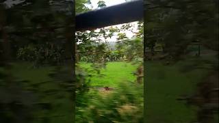 Train travel malayalam indiarailway kerala shorts [upl. by Shieh]