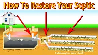 Restoring A Septic Drain Field First Steps Least Vs Most Expensive [upl. by Northrop]