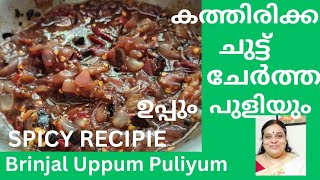 കത്തിരിക്ക ചുട്ട് ചേർത്ത് ഉപ്പും പുളിയും കറി Brinjal Uppum Puliyumസൂപ്പർ ടേസ്റ്റ് ആണ് [upl. by Nylra564]