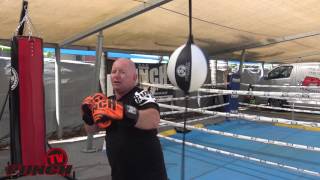 How to train with a Floor to Ceiling Ball  Punch Equipment® [upl. by Nialb]