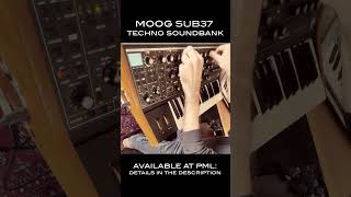 PML Moog SubSubsequent 37 Soundbank Recording DUO  Cardiac shorts [upl. by Ahseikram]