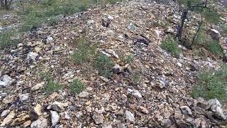 Digging Tourmaline In The Snow Plumas County California  Lost River Gold and Gems [upl. by Ahcatan]