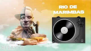 Dj Dasten  Rio De Marimbas Visualizer [upl. by Ramma]