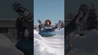 Snow Roller Phenomenon documentary facts hiddengemsofhistory extinctanimal wonders [upl. by Yelyr]