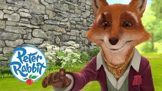 Peter Rabbit  Tricking a Lying Fox  Cartoons for Kids [upl. by Lyrac233]