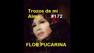 trozos de mi Alma Flor Pucarina clásico de colección Nro 172 [upl. by Vinia]