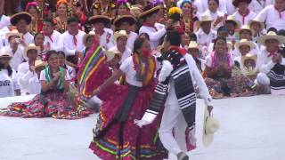 Jarabe Mixteco Guelaguetza [upl. by Adaiha]